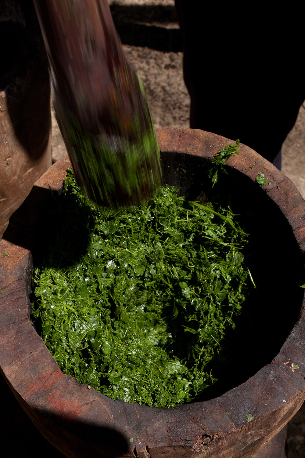 AMACZO 12_galeria_MG_4322.jpg
